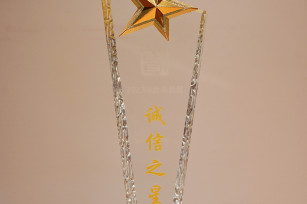 喜報！城投公司被評為 2023年度奉賢區(qū)“誠信之星”企業(yè)